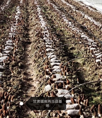 &#20247;&#24425;&#23448;&#32593;&#45;&#40;&#20013;&#22269;&#41;&#32929;&#20221;&#26377;&#38480;&#20844;&#21496;