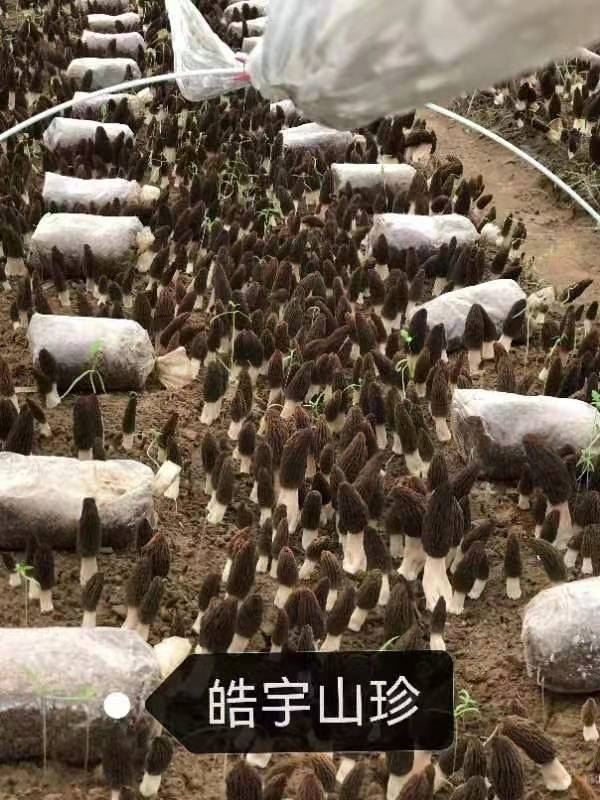 &#20247;&#24425;&#23448;&#32593;&#45;&#40;&#20013;&#22269;&#41;&#32929;&#20221;&#26377;&#38480;&#20844;&#21496;
