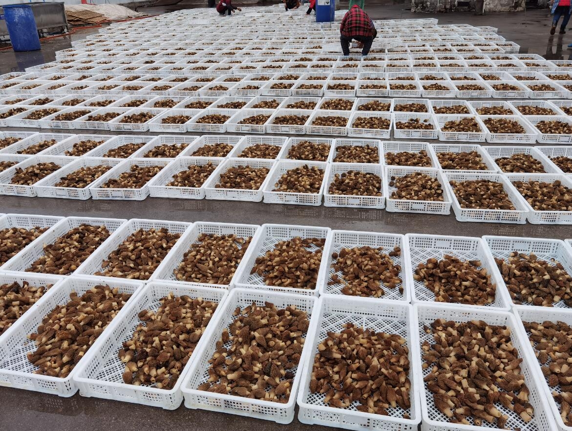 &#20247;&#24425;&#23448;&#32593;&#45;&#40;&#20013;&#22269;&#41;&#32929;&#20221;&#26377;&#38480;&#20844;&#21496;