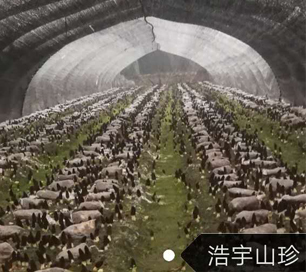 &#20247;&#24425;&#23448;&#32593;&#45;&#40;&#20013;&#22269;&#41;&#32929;&#20221;&#26377;&#38480;&#20844;&#21496;