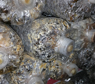 &#20247;&#24425;&#23448;&#32593;&#45;&#40;&#20013;&#22269;&#41;&#32929;&#20221;&#26377;&#38480;&#20844;&#21496;