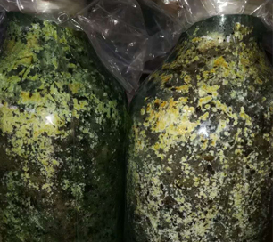 &#20247;&#24425;&#23448;&#32593;&#45;&#40;&#20013;&#22269;&#41;&#32929;&#20221;&#26377;&#38480;&#20844;&#21496;