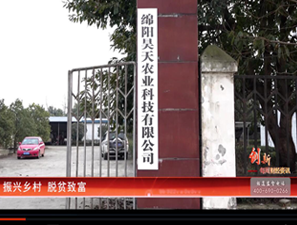&#20247;&#24425;&#23448;&#32593;&#45;&#40;&#20013;&#22269;&#41;&#32929;&#20221;&#26377;&#38480;&#20844;&#21496;