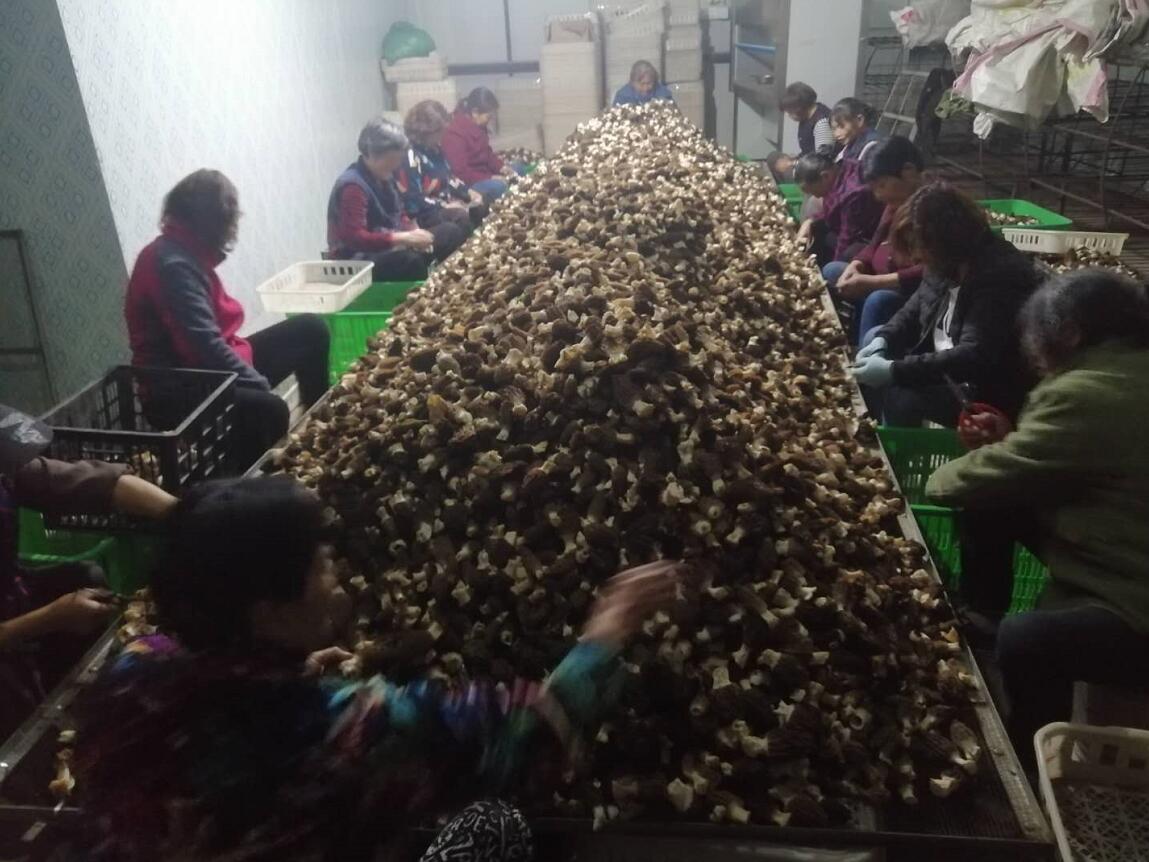 &#20247;&#24425;&#23448;&#32593;&#45;&#40;&#20013;&#22269;&#41;&#32929;&#20221;&#26377;&#38480;&#20844;&#21496;