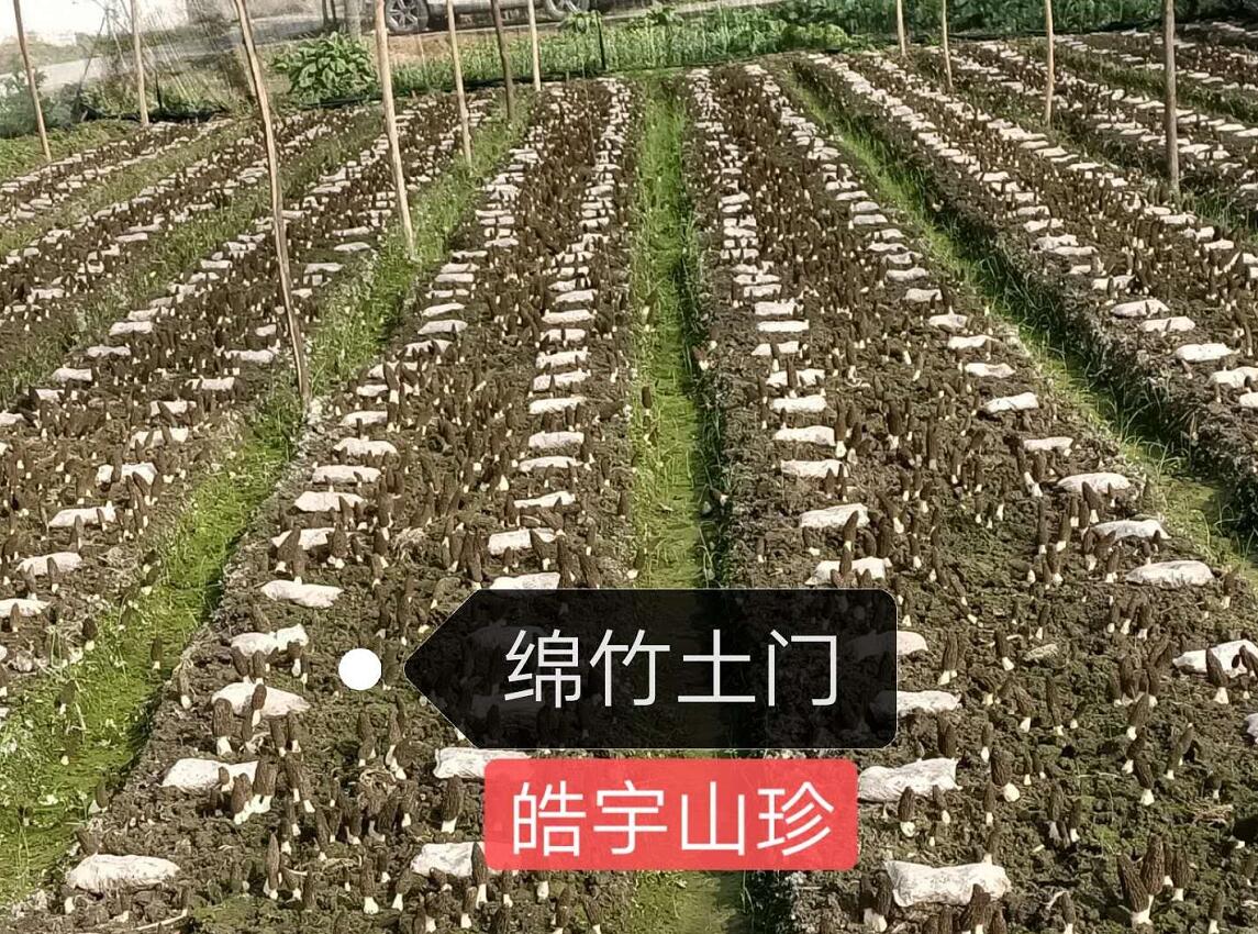 &#20247;&#24425;&#23448;&#32593;&#45;&#40;&#20013;&#22269;&#41;&#32929;&#20221;&#26377;&#38480;&#20844;&#21496;