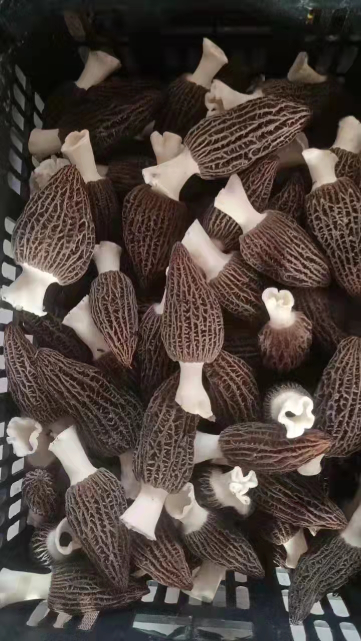 &#20247;&#24425;&#23448;&#32593;&#45;&#40;&#20013;&#22269;&#41;&#32929;&#20221;&#26377;&#38480;&#20844;&#21496;