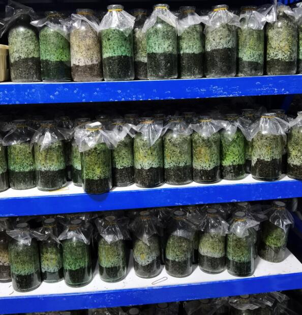 &#20247;&#24425;&#23448;&#32593;&#45;&#40;&#20013;&#22269;&#41;&#32929;&#20221;&#26377;&#38480;&#20844;&#21496;