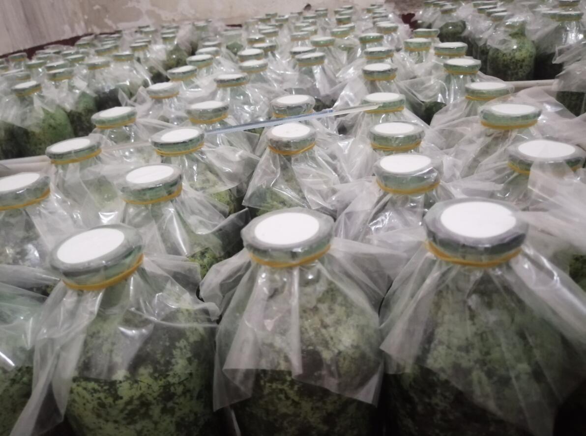 &#20247;&#24425;&#23448;&#32593;&#45;&#40;&#20013;&#22269;&#41;&#32929;&#20221;&#26377;&#38480;&#20844;&#21496;
