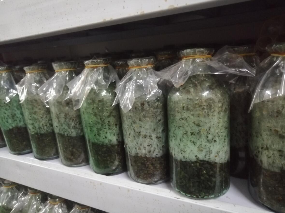 &#20247;&#24425;&#23448;&#32593;&#45;&#40;&#20013;&#22269;&#41;&#32929;&#20221;&#26377;&#38480;&#20844;&#21496;