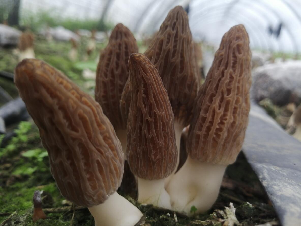 &#20247;&#24425;&#23448;&#32593;&#45;&#40;&#20013;&#22269;&#41;&#32929;&#20221;&#26377;&#38480;&#20844;&#21496;