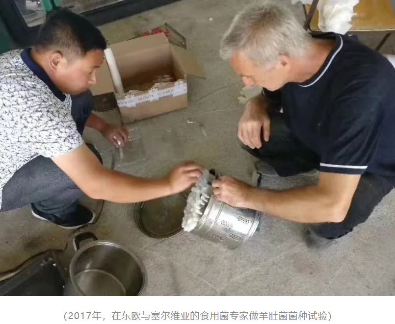 &#20247;&#24425;&#23448;&#32593;&#45;&#40;&#20013;&#22269;&#41;&#32929;&#20221;&#26377;&#38480;&#20844;&#21496;